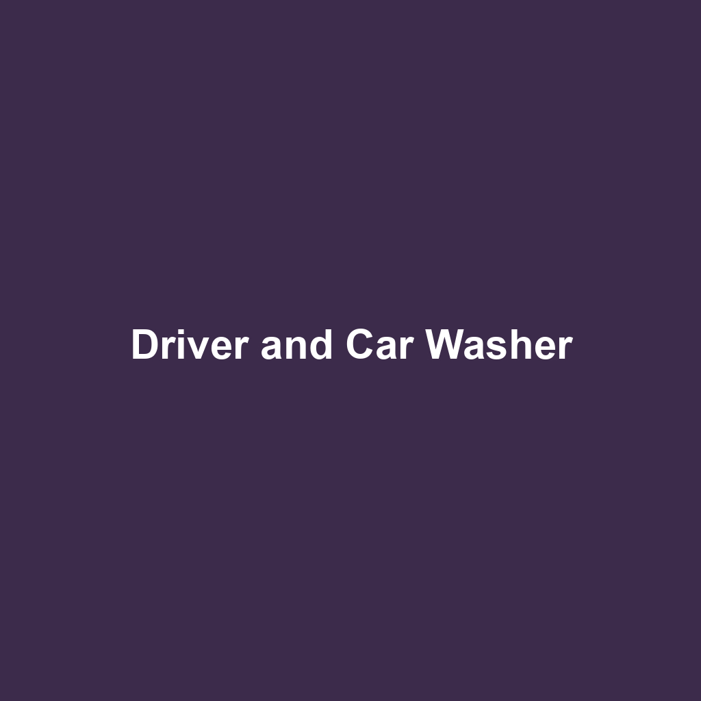 Driver and Car Washer