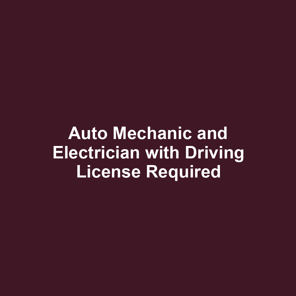 Auto Mechanic and Electrician with Driving License Required