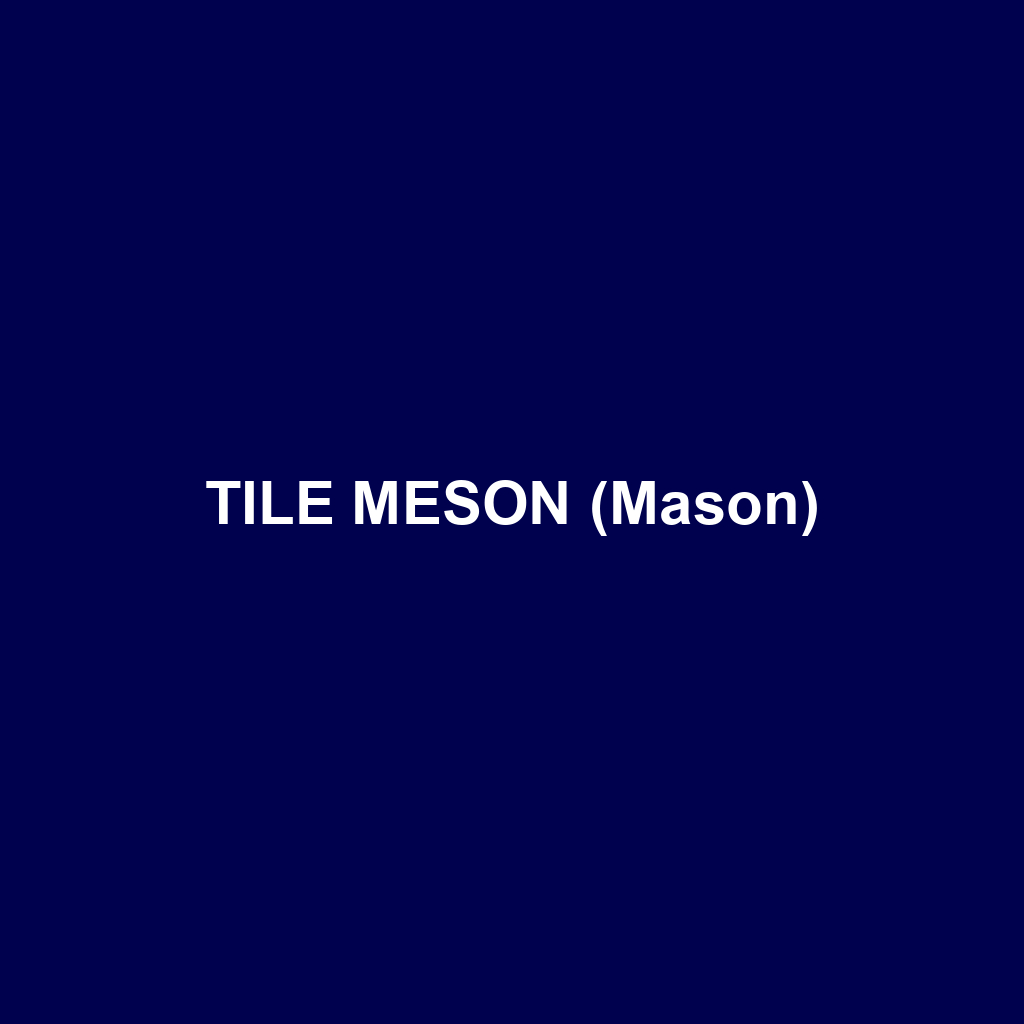 TILE MESON (Mason)